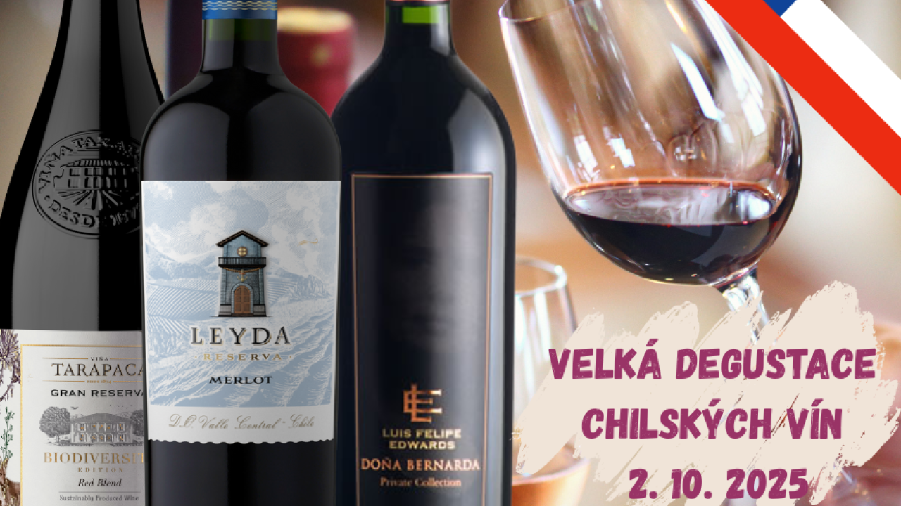 Degustace chilských vín