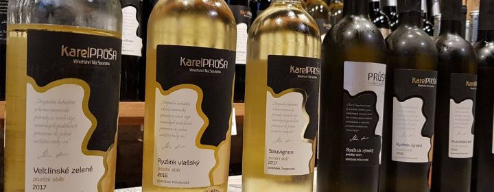 Degustace moravských vín a setkání s vinařem Vinařství Na Soutoku