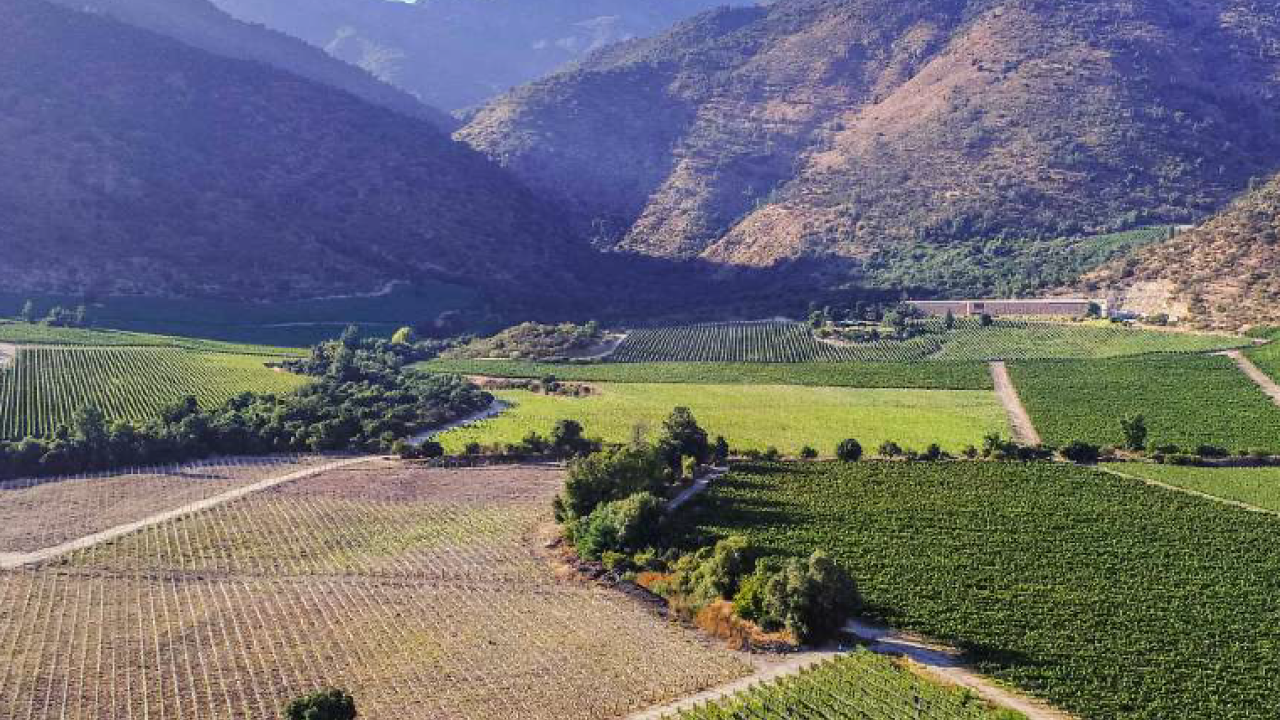 Cachapoal Valley 2024