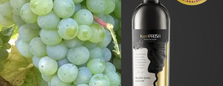 4 medaile ze soutěže Král vín pro Vinařství Na Soutoku